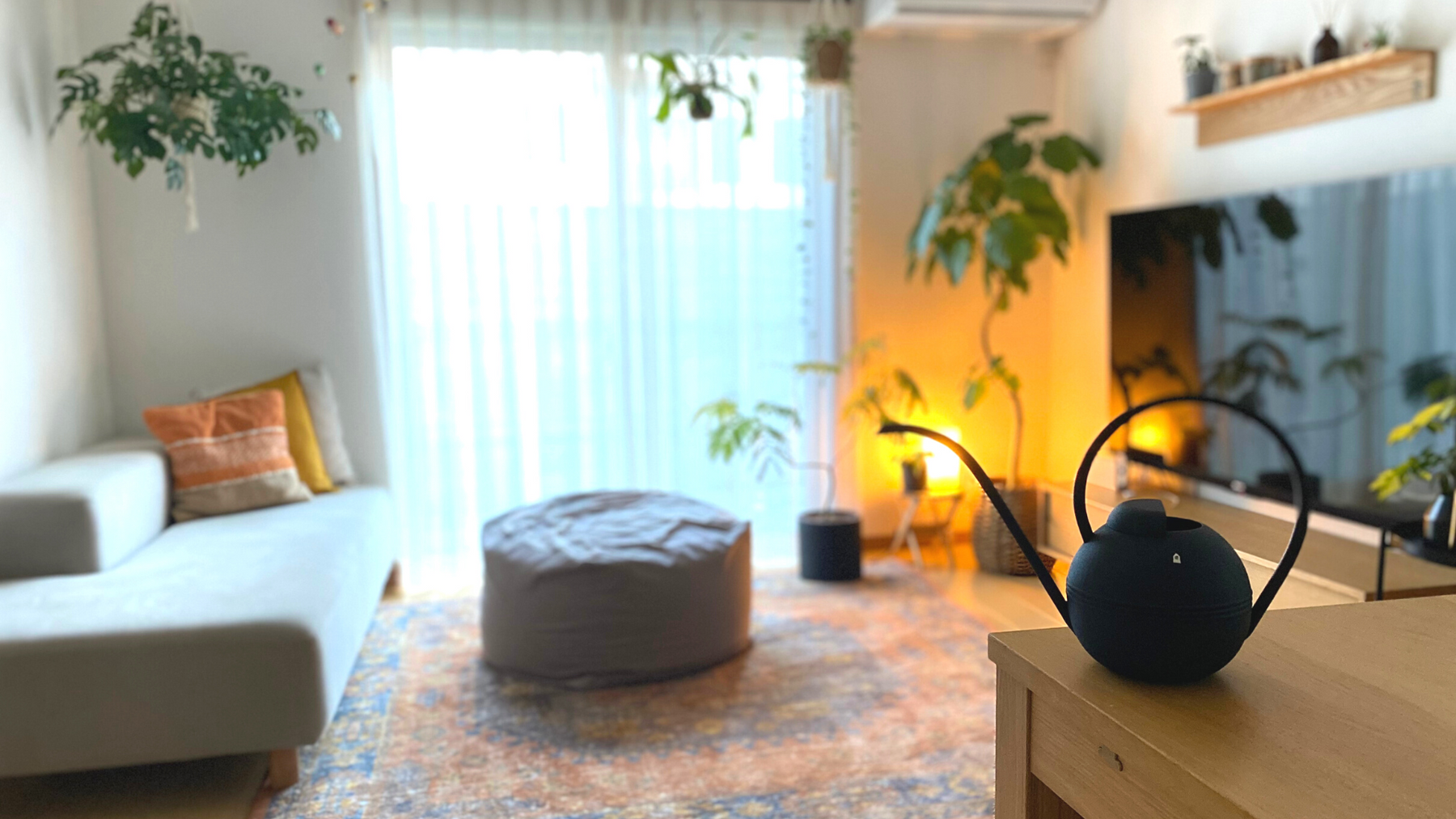 スタッフレビューvol.2 『毎日の水やりをときめく時間に。house doctorのウォータリングカン』
