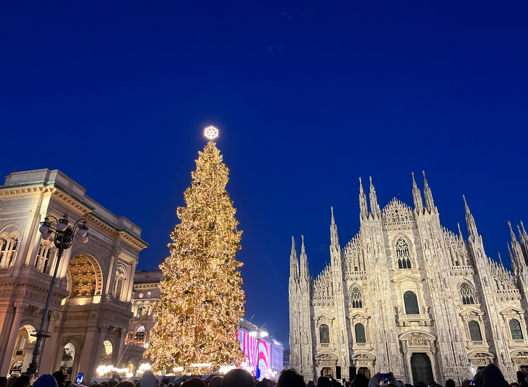 Eli’s note from MILANO #13 『ボン・ナターレ!クリスマスの伝統的な飾り』