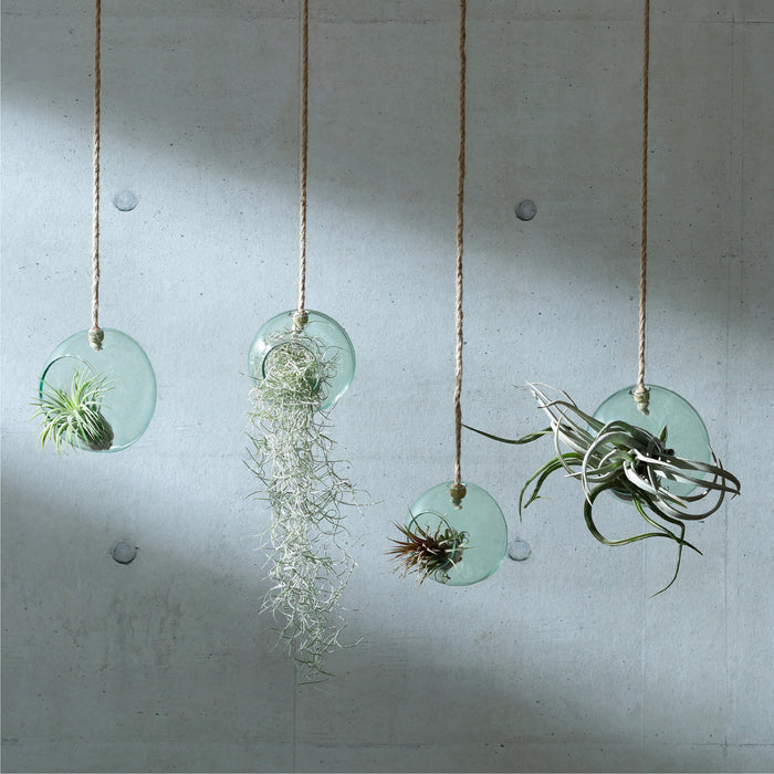 LSA International|CANOPY HANGING PLANTER H12cm