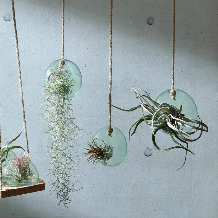 LSA International|CANOPY HANGING PLANTER H12cm