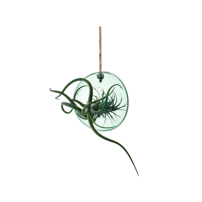 LSA International|CANOPY HANGING PLANTER H12cm