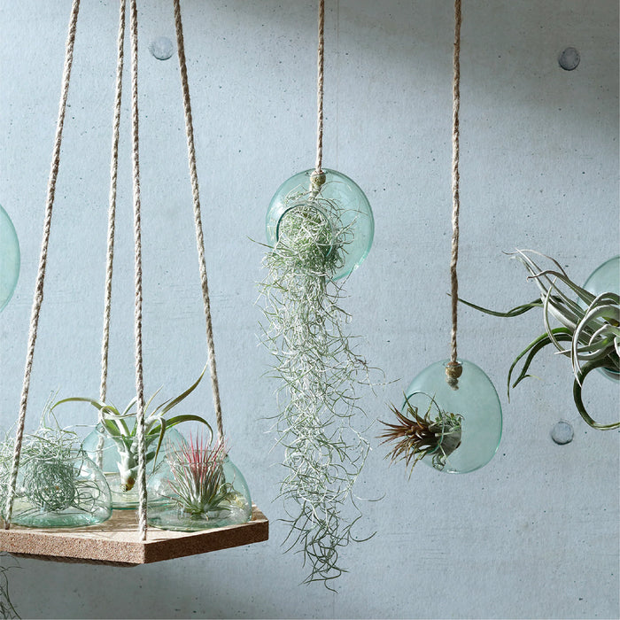 LSA International|CANOPY HANGING PLANTER SET H8cm