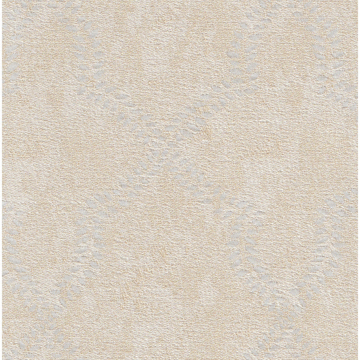 JIASTEXPREMIUM Vol.3 | JD210