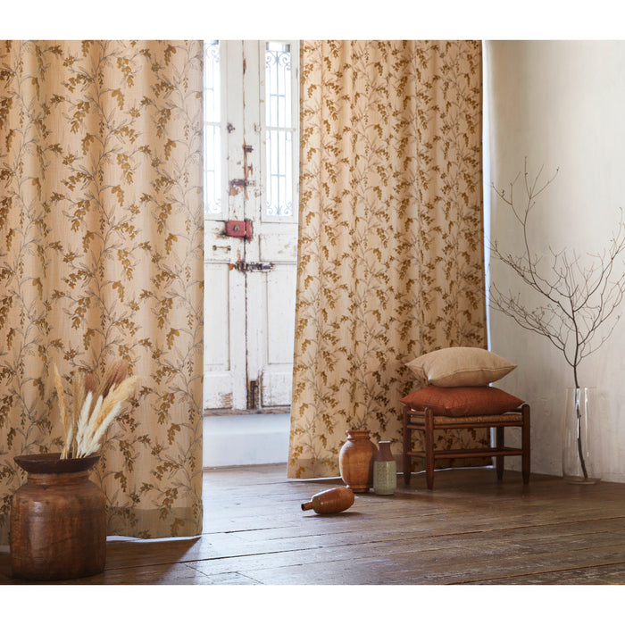 JIASTEXPREMIUM Vol.3 | JD213