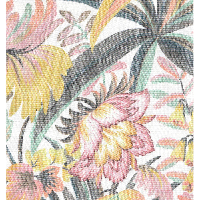 JIASTEXPREMIUM Vol.3 | JD248