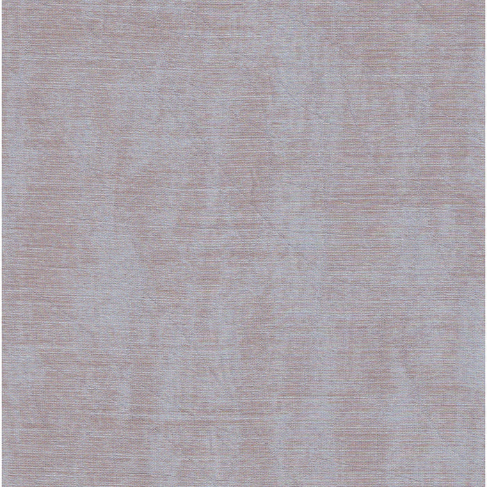 JIASTEXPREMIUM Vol.3 | JD281