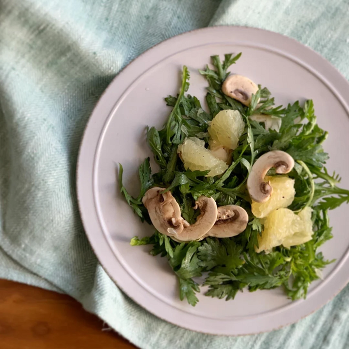 Rimout|NOISETTE プレートM 24cm