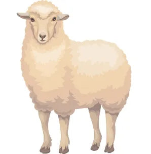 ウール