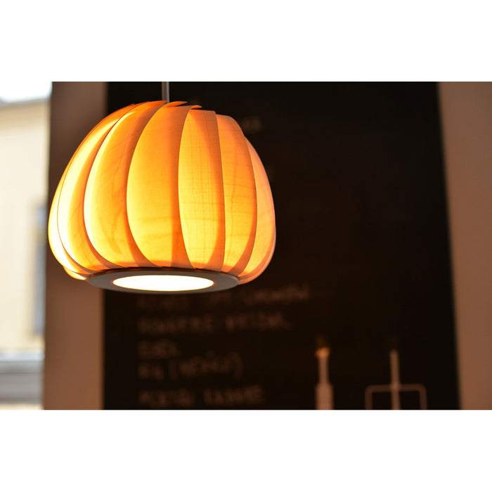 ペンダントライト TOM ROSSAU / トム・ロッサウ TR12 MEDIUM / TR12ミディアム