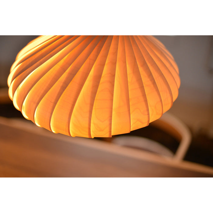 ペンダントライト TOM ROSSAU / トム・ロッサウ TR22 PENDANT / TR22ペンダント