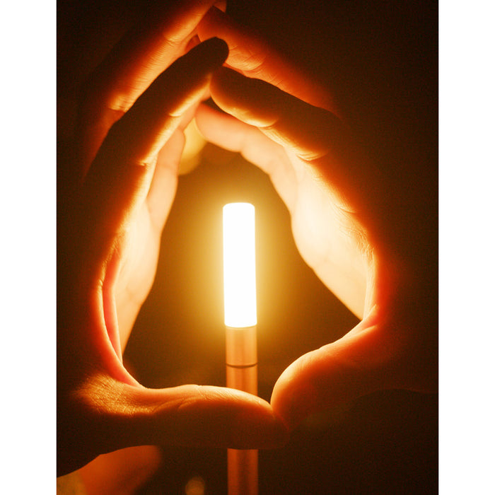 ポータブルテーブルランプ ハンドル付 graypants / グレイパンツ WICK / ウィック