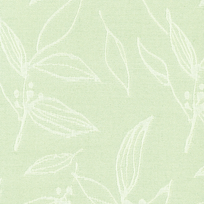 Eco de Happiness | JE9546 (グリーン)